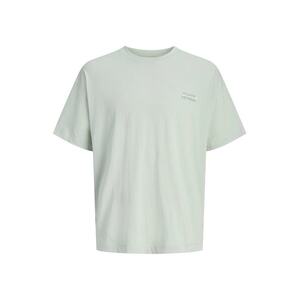 JACK & JONES Póló 'JCOEterna' világoskék / menta / fekete / fehér kép