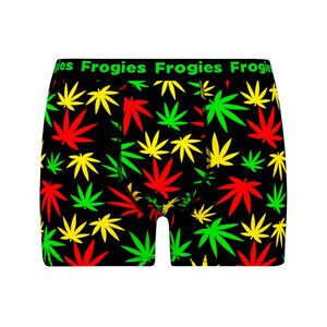 Férfi boxeralsó Frogies Mr. Green kép