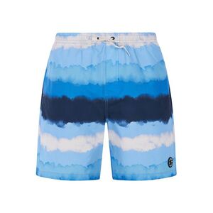 Men's beach shorts Protest PRTHAMSEY kép