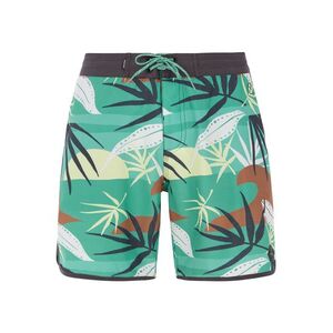 Men's beach shorts Protest PRTADDO kép