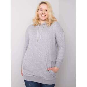 Sweatshirt-RV-BL-6338.19X-gray kép