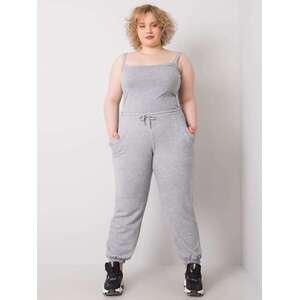 Sweatpants-RV-DR-6331.86-gray kép