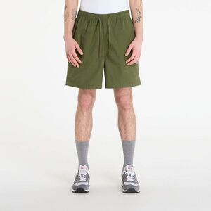 Shorts Dickies Pelican Rapids Cypress L kép