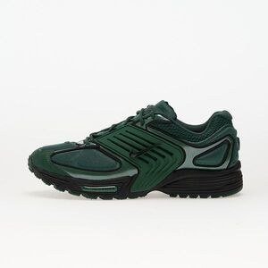 Sneakers Nike Air Pegasus Wave Fir/ Black EUR 40 kép
