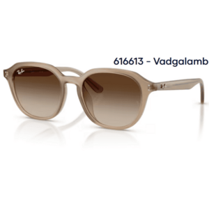 RAY-BAN RB4459D 616613 - Vadgalamb napszemüveg kép