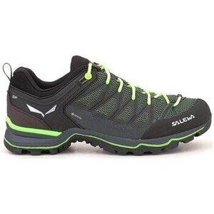 Túracipők Salewa MS Mtn Trainer Lite Gtx kép