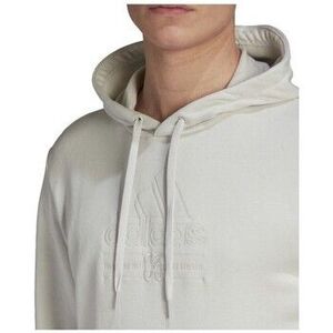 Kapucnis pulóverek adidas Brilliant Basics Hooded kép