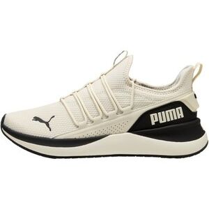 Rövid szárú edzőcipők Puma 293236 kép