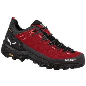 Túracipők Salewa Alp Trainer 2 Gtx kép