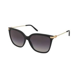 Napszemüveg Ralph Lauren RL8209 5001/8G kép