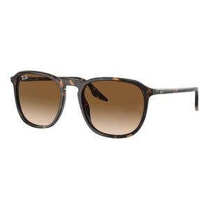Ray-Ban RB2203 902/51 M (52) Havana Unisex Napszemüvegek kép