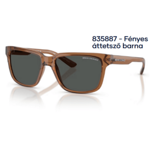 Armani Exchange AX4026S 835887 - Fényes áttetsző barna unisex napszemüveg kép