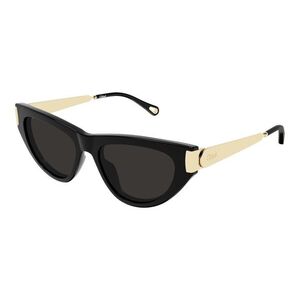 Chloe CH0350S 001 ONE SIZE (54) Fekete Férfi Napszemüvegek kép