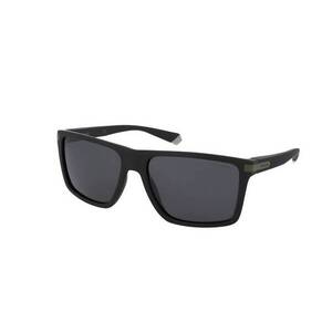 Napszemüvegek Polaroid PLD 2098/S 7ZJ/M9 kép