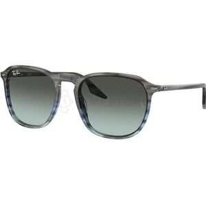 Ray-Ban RB2203 1391GK 55 kép