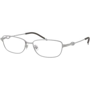 Diesel DL5002 1007 M (54) Ezüst Unisex Dioptriás szemüvegek kép