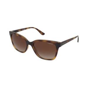 Napszemüvegek Vogue VO5426S W65613 kép