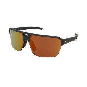 Napszemüvegek Alpina Swift HR Black Gold Matt/Gold Mirror kép