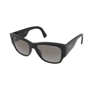 Napszemüvegek Vogue VO5462S W44/11 kép