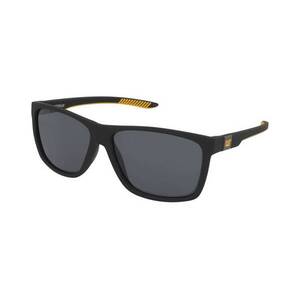 Napszemüvegek Caterpillar CTS 8027 104P kép
