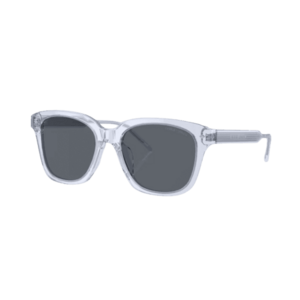 Napszemüvegek Giorgio Armani AR8210U 6081R5 kép