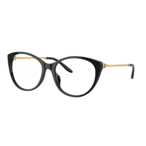 Szemüvegek Ralph Lauren RL6239U 5001 kép