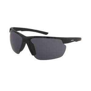 Napszemüveg Alpina Defey HR Black Matt/Black kép