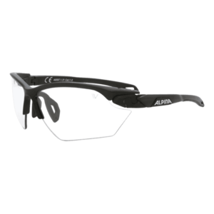 Napszemüveg Alpina Overview Black Transparent kép