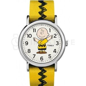 Timex Peanuts TW2R411006B kép