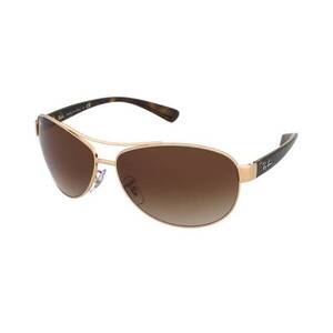Napszemüvegek Ray-Ban RB3386 001/13 kép