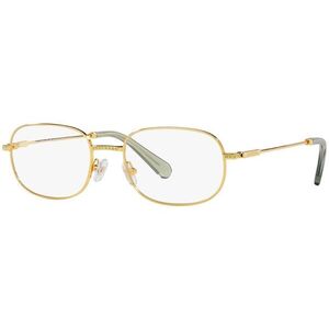 Swarovski SK1005 4004 M (52) Arany Férfi Dioptriás szemüvegek kép