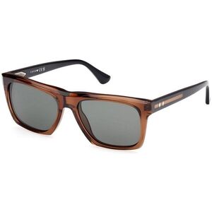 Web WE0367 50D Polarized ONE SIZE (55) Barna Női Napszemüvegek kép