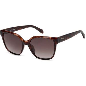 Fossil FOS3170/G/S 086/HA ONE SIZE (55) Havana Férfi Napszemüvegek kép