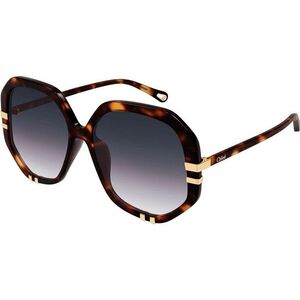 Chloe CH0105S 004 L (58) Havana Férfi Napszemüvegek kép