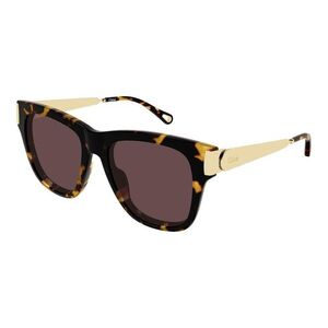 Chloe CH0349S 003 ONE SIZE (54) Havana Férfi Napszemüvegek kép