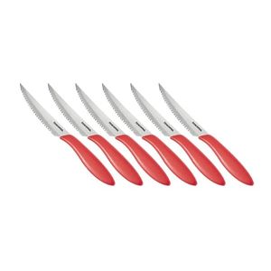 Tescoma nôž steakový PRESTO 12 cm, 6 ks vyobraziť