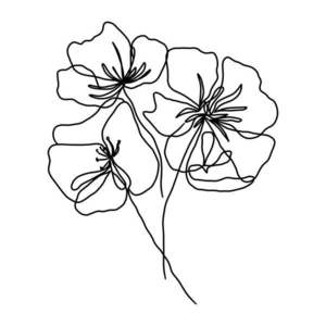 Plagát 29x41 cm Black Poppy – Veronika Boulová vyobraziť