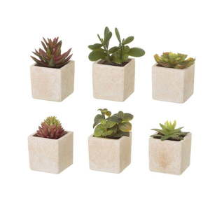 Umelé rastliny v súprave 6 ks (výška 9, 5 cm) Cactus – Casa Selección vyobraziť