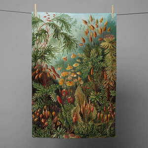 Utierka 43x64 cm Deep Forest – Madre Selva vyobraziť