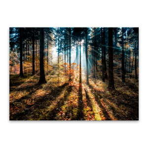 Obraz Styler Glasspik Autumn Sunset, 70 × 100 cm vyobraziť
