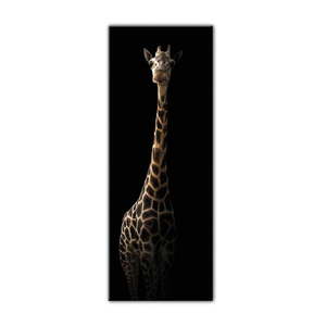 Obraz Styler Glas Animals Gira, 50 × 125 cm vyobraziť