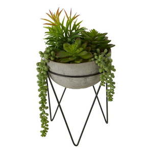 Umelý sukulent (výška 36 cm) Fiori – Premier Housewares vyobraziť