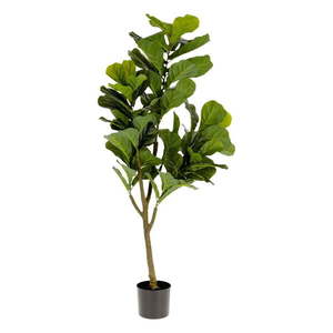 Umelý fikus (výška 150 cm) Lyrata – Kave Home vyobraziť