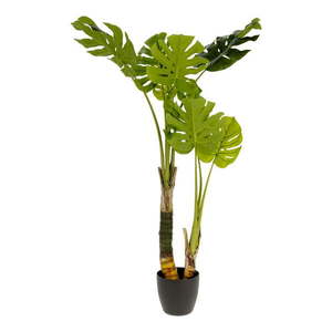 Umelá monstera (výška 130 cm) – Kave Home vyobraziť