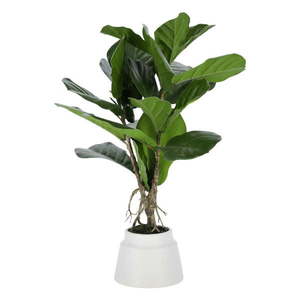 Umelý fikus (výška 60 cm) Lyrata – Kave Home vyobraziť