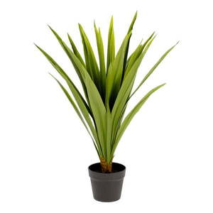 Umelá rastlina (výška 80 cm) Yucca – Kave Home vyobraziť