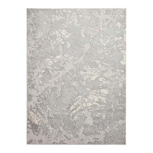 Sivý/béžový koberec 170x120 cm Apollo - Think Rugs vyobraziť