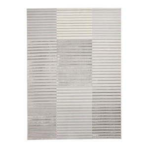 Sivý/béžový koberec 220x160 cm Apollo - Think Rugs vyobraziť