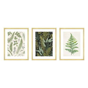Obrazy v súprave 3 ks 30x40 cm Fern – knor vyobraziť