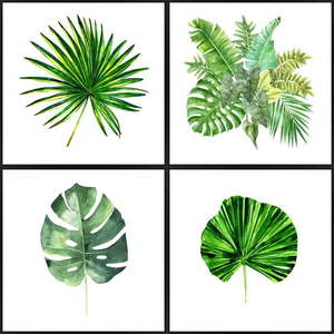 Plagáty v ráme 4 ks 30x30 cm Monstera vyobraziť